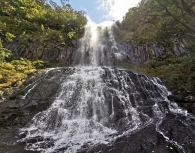 Tour du Sud-Ouest – Nature et Culture (Excursion privée de 8 heures)