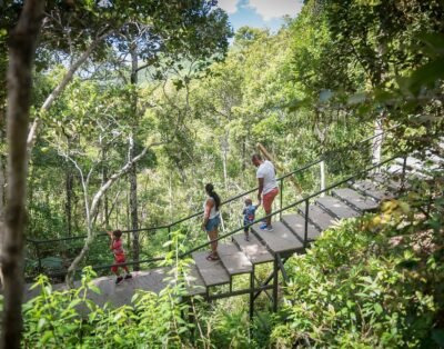 Excursion 5 – Forêt et patrimoine (excursion privée de 8 heures)